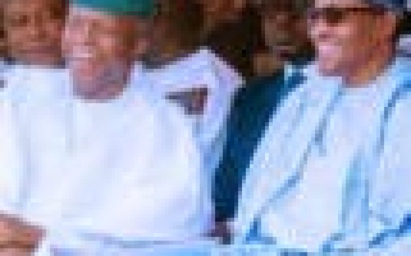 Osinbajo exudes confidence and passion in the performance of his job ―  Buhari