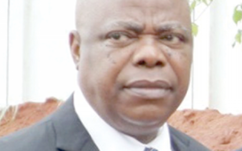2023: S/East ex PGs endorse Anambra former CJ for president