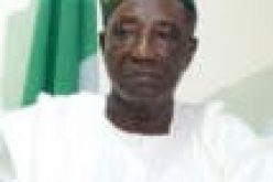 Nigeria’s dairy product importation stands at $1.5bn — Nanono