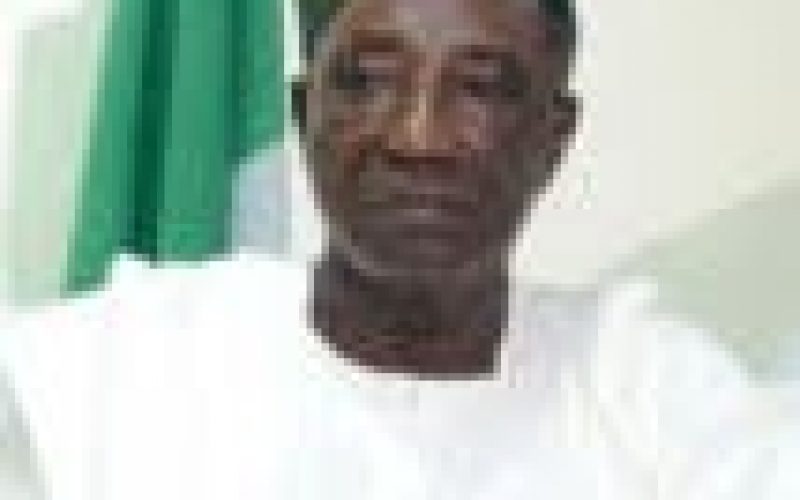 Nigeria’s dairy product importation stands at $1.5bn — Nanono