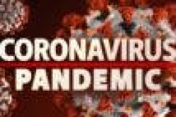 New coronavirus variant detected in traveler from Tanzania