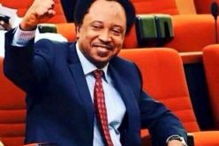 Shehu Sani: Court threatens to strike out EFCC’s charge over media trial