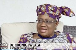 Inevitably, Nigeria Has to Transition Away from Fossil Fuels – WTO DG Okonjo-Iweala