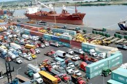 Bitumen, petroleum products lead import chart for March