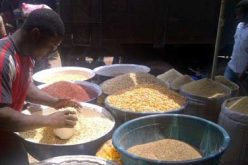 APC governors pledge commitment to Food Security