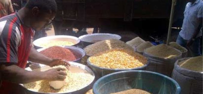 APC governors pledge commitment to Food Security