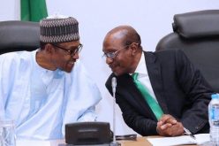 Buhari, Emefiele spark Nigeria’s rice revolution