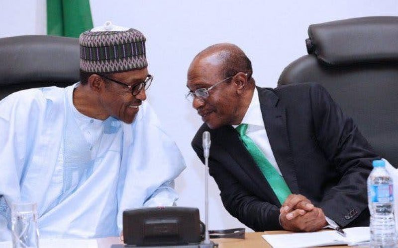 Buhari, Emefiele spark Nigeria’s rice revolution