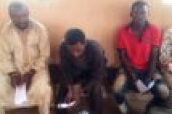 Murder of Fasoranti’s daughter: Five more suspects arrested by Police SWAT