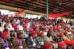 Igbo group greets Adebanjo, says Yoruba Nation made good choice