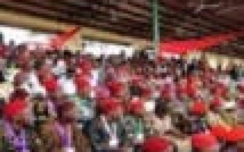 Igbo group greets Adebanjo, says Yoruba Nation made good choice
