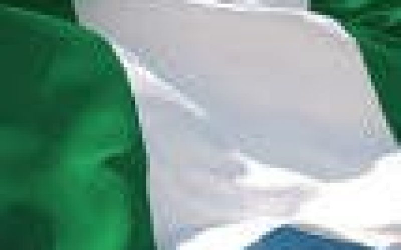 Insecurity: Nigeria in dangerous situation, needs urgent, drastic solution — Oodua Youth Coalition