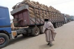 FOOD BLOCKADE: Prices skyrocket in Nsukka, Aba, environs