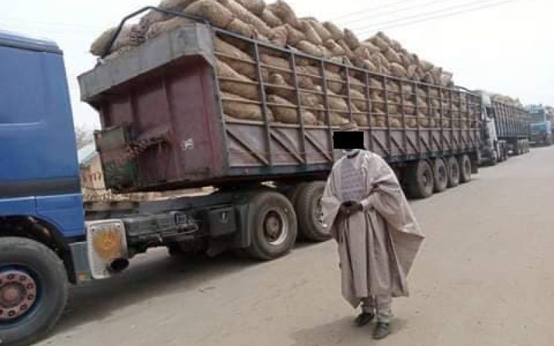 FOOD BLOCKADE: Prices skyrocket in Nsukka, Aba, environs