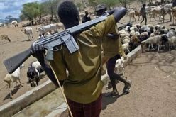 Herdsmen kill traveller, abduct others in Osun