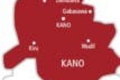 Taskforce confiscate counterfeit drugs worth over N1m in Kano