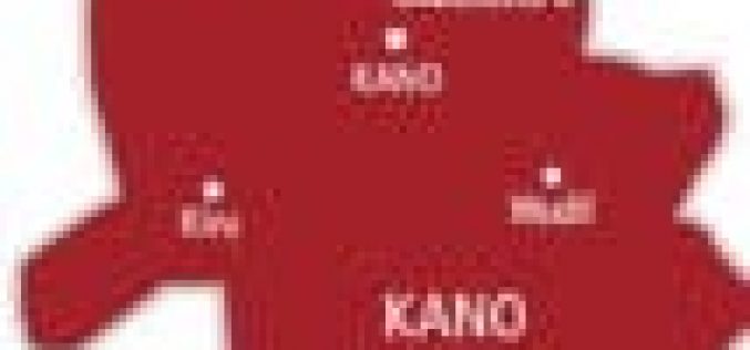 Taskforce confiscate counterfeit drugs worth over N1m in Kano