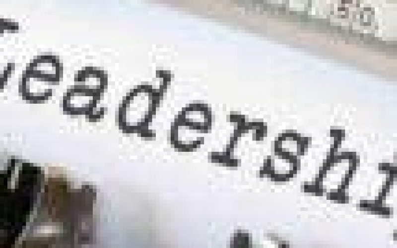 On political leadership: A review essay (2)