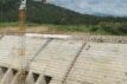 FG assures on timely completion of Mambilla hydro power project