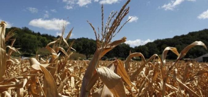 Food crisis looms, Shittu warns FG