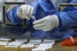 WHO reserves judgement on Indian coronavirus variant