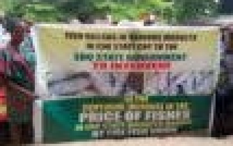 Fish scarcity rocks Edo, as sellers protest activities of cold room owners