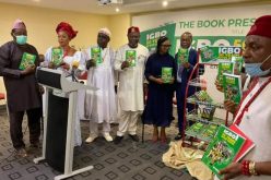 Attacks on S’East: We must explore all options of negotiation — Stakeholders urge Igbo