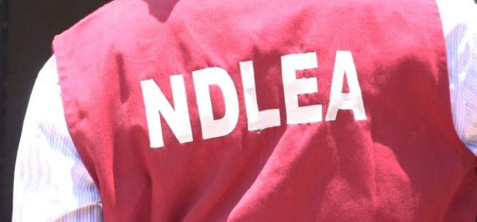 We don’t demand money from job seekers – NDLEA warns applicants