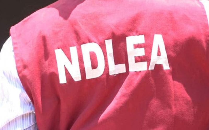 NDLEA arrests 80-year old grandma, granddaughter with 192kg cocaine, heroin – Babafemi