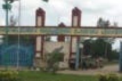 Breaking: Gunmen kill 9 persons, several cows, as fear grips Ojukwu Varsity town