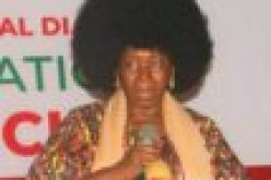 Poor funding of education responsible for rising insecurity, ActionAid, others tell FG