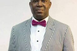 Nigeria Diaspora Network provides $10m support for 2023 candidacy — Spokesman