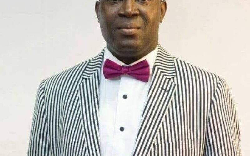 Nigeria Diaspora Network provides $10m support for 2023 candidacy — Spokesman