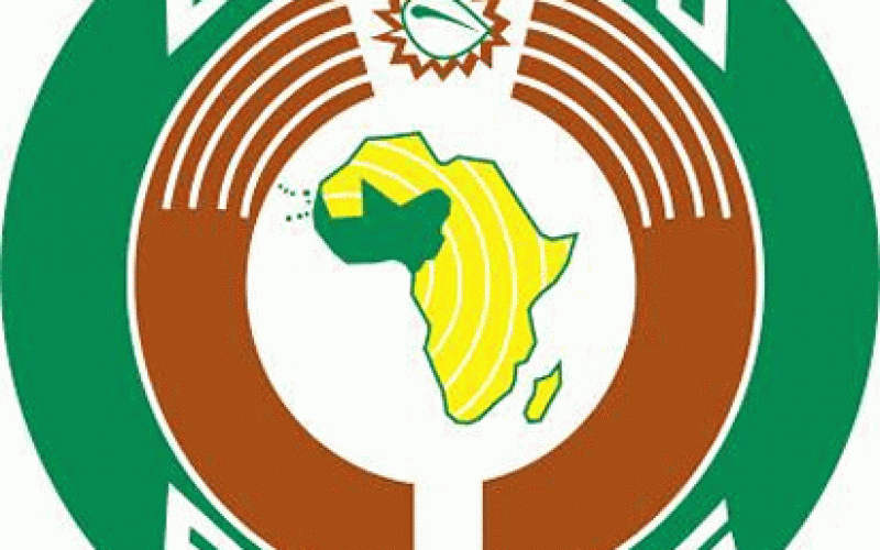ECO: Strengthening Naira more beneficial than West African regional currency— Diplomat