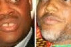 Nnamdi Kanu is courageous; he’s prepared to give his life for Biafra struggle — Fani-Kayode