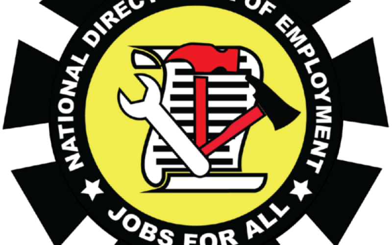 NDE recruits 176 youths for skills acquisition training in Bayelsa