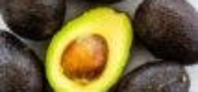 Kenya’s avocado exports hit 72,000 tons in 2020 — Official