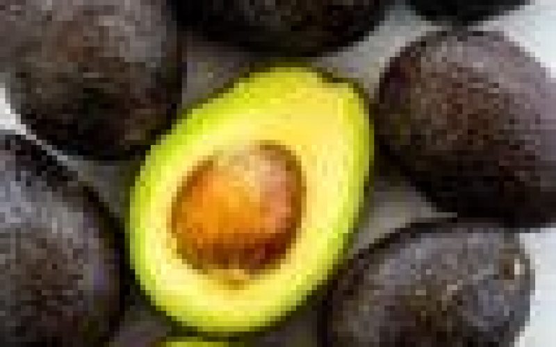 Kenya’s avocado exports hit 72,000 tons in 2020 — Official