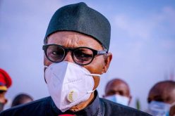 FG establishes centre for arms control