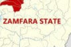 Zamfara police arrest medical doctor, seven other persons in connection with banditry