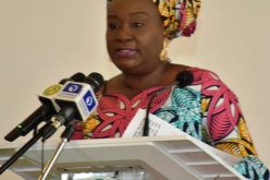 We must attract best hands to civil service — Yemi-Esan
