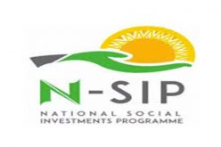FG inaugurates steering committee on NASIMS