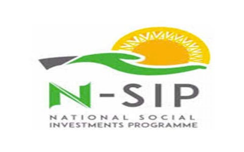 FG inaugurates steering committee on NASIMS