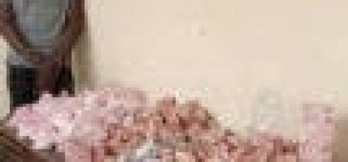 NDLEA nabs alleged Chadian supplier of drugs to Boko Haram