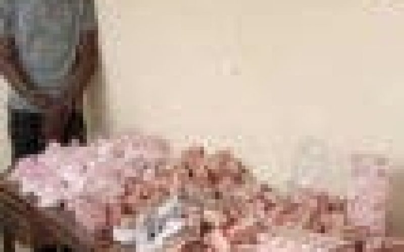 NDLEA nabs alleged Chadian supplier of drugs to Boko Haram