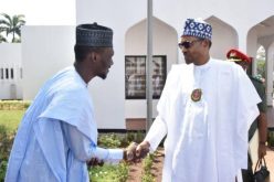 Buhari backs Shagari’s grandson for Abuja Municipal Council chair