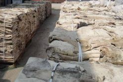 Quarantine Service destroys confiscated donkey skins worth N67m in Abuja