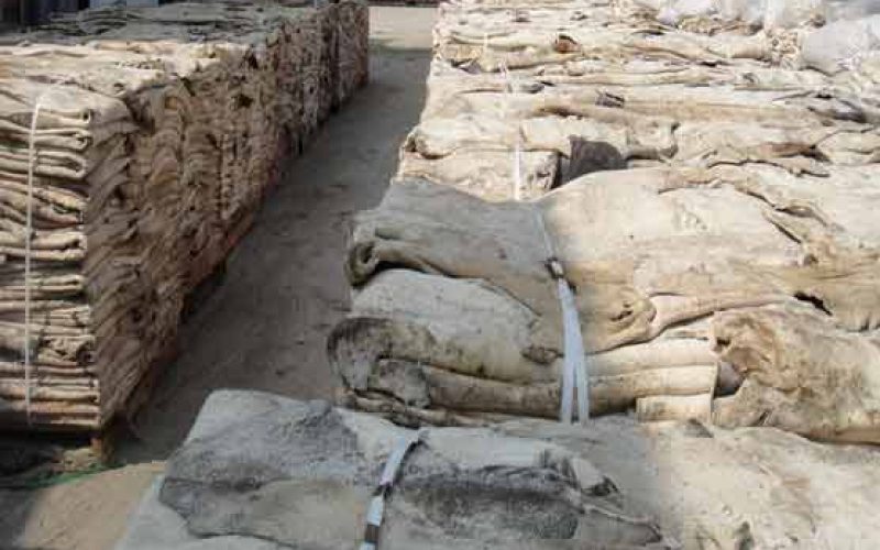 Quarantine Service destroys confiscated donkey skins worth N67m in Abuja