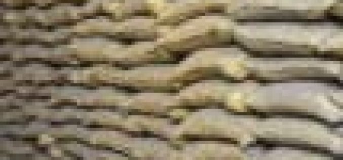 Cement: Scarcity, middlemen, induce price hike in North-East — Survey
