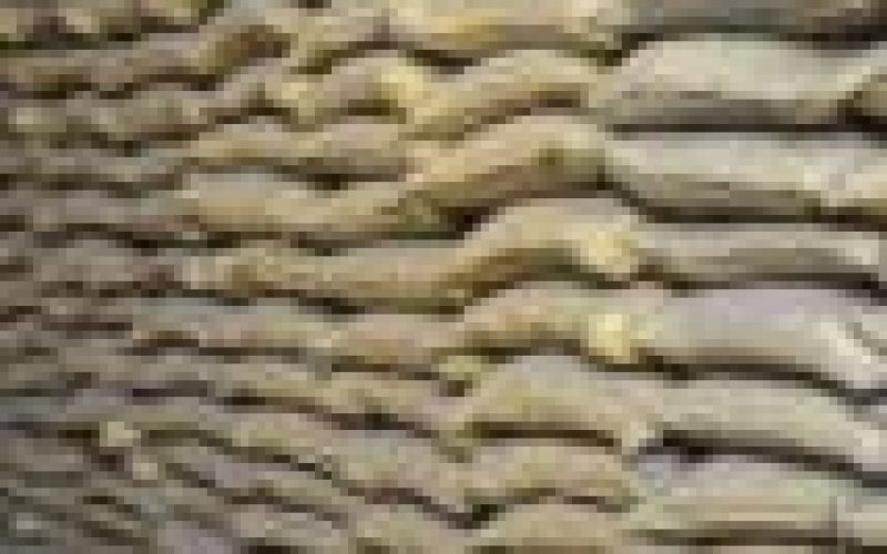 Cement: Scarcity, middlemen, induce price hike in North-East — Survey